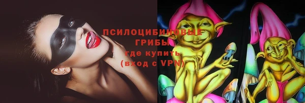 гидропоника Алзамай