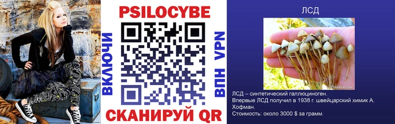 где продают   Завитинск  hydra зеркало  Псилоцибиновые грибы Magic Shrooms 